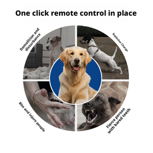 Entrenador de perros con control remoto, dispositivo antiladridos con vibración y descarga eléctrica, <span class=keywords><strong>collar</strong></span> de entrenamiento antiladridos para perros de tamaño grande, multifuncional - Product Image 4