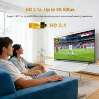 Strong-8k Trex-Diamond IPTV-Code - Lista de Canales Gratuita - Prueba de 24 Horas - Panel de Revendedor M3u - Cuenta con 12 Meses de Garantía para Europa, Alemania, Italia