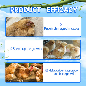 Giá Trong Ghana Tùy Chỉnh Tăng Cường Hương Vị Gà Gia Cầm Sau Đó Thức Ăn Sản Xuất Bữa Ăn Cho Động Vật Thức Ăn Gia Cầm <span class=keywords><strong>Vitamin</strong></span> <span class=keywords><strong>D3</strong></span> - Product Image 3