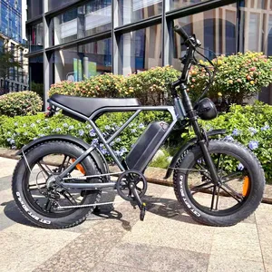Vélo électrique H9 de 1000W à gros pneus de 20 pouces, vélo électrique en acier de 250W, EU, USA, Fatbike adulte 25 km/h, 48V, stock prêt en entrepôt