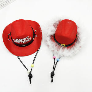 Chapéu de Cão Estilo Cowboy Ocidental em Tecido Não Tecido Ecológico para Proteção Solar de Animais de Estimação no Inverno e Natal - Product Image 4