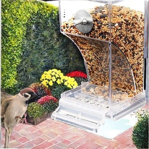 Comederos automáticos <span class=keywords><strong>para</strong></span> <span class=keywords><strong>pájaros</strong></span> <span class=keywords><strong>de</strong></span> plástico <span class=keywords><strong>para</strong></span> periquitos pequeños y medianos, contenedor <span class=keywords><strong>de</strong></span> alimentos <span class=keywords><strong>de</strong></span> semillas acrílicas y jaula <span class=keywords><strong>para</strong></span> <span class=keywords><strong>bebederos</strong></span>, accesorios, artículos tipo cuenco - Product Image 2