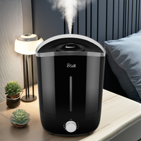 Humidificateur ultrasonique à remplissage par le haut OEM ODM 5L avec diffuseur d'arôme et buse de brouillard à 360 ° pour chambres et appartements