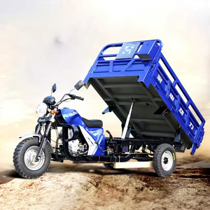 Tricycle cargo 200cc à 3 roues, capacité de 2000 kg, <span class=keywords><strong>occasion</strong></span> - Product Image 2