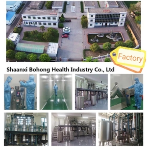 High Quality <strong>Bromelain</strong> 50000 IU Food Grade <strong>Bromelain</strong> Powder - Product Image 5