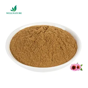 Chất lượng tốt nhất cichoric axit Echinacea Purpurea chiết xuất bột