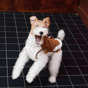 Milieuvriendelijk Dubbelzijdig Bont Geïntegreerd Vest Winter Klassieke Huisdierkleding Voor Kleine Windhonden Whippets Huisdierkleding Gezellig - Product Image 6