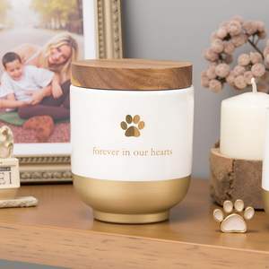 Pearhead Ceramic Forever in Our Hearts Pet Memorial, urna de recuerdo para perros o gatos, Rainbow Bridge, Gold - Product Image 4