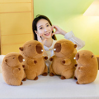 HY198 Creative Puffy Bubble Capibala Peluche Jouet Capybara Poupée Coussin