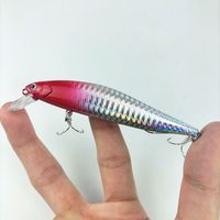 Leurre Vivant à Lame Argentée pour Pêche au Lancer Longue Distance, Minnow à Coulée Lente Spécialisé pour Poisson-Flotteur et Poisson-Oriflamme, Hameçons d'Eau Douce