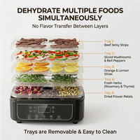 Deshidratador Eléctrico de Alimentos de 5 Bandejas, Secador de Frutas Mecánico con Temperatura y Temporizador Ajustables, Ecológico y Silencioso, 160W