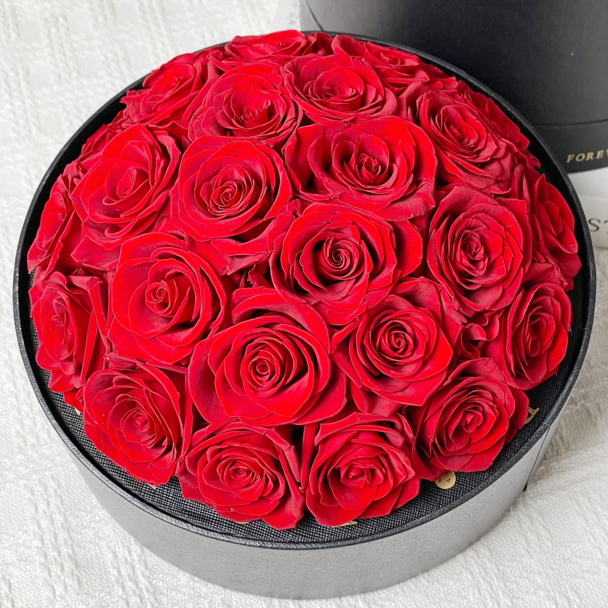 Rosso 25