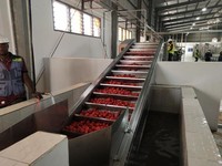 Ligne de production de concentré de tomate |   Système d'évaporation sous vide et de remplissage aseptique pour base de ketchup/pâte/sauce
