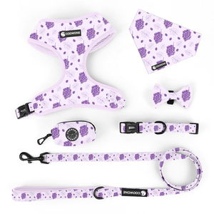 Correa personalizada <span class=keywords><strong>para</strong></span> perro, arnés resistente personalizado <span class=keywords><strong>para</strong></span> perro, collar estampado <span class=keywords><strong>para</strong></span> galgo, dispensador de bolsas <span class=keywords><strong>para</strong></span> excrementos, conjunto de arnés y correa personalizados <span class=keywords><strong>para</strong></span> perro - Product Image 2