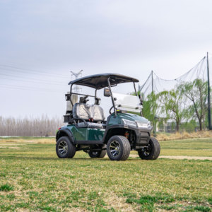 Supply Battery Driven <b>2</b>-seat Golf Buggy <b>2</b> <b>Passenger</b> Car for Resort & Residential Villa - Product Image 5