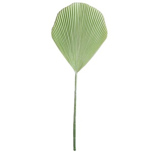 Vente en gros de feuilles de <span class=keywords><strong>palmier</strong></span> plissées artificielles vert armée, aspect réaliste, verdure tropicale, tige de <span class=keywords><strong>palmier</strong></span> <span class=keywords><strong>Licuala</strong></span> artificielle pour la décoration intérieure - Product Image 5