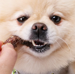 Bio-Ente Kokosnuss streifen Hund & Katze Zahnen behandelt protein reiche Snacks - Product Image 6