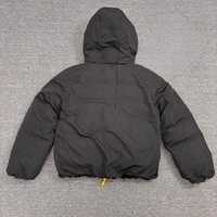 Veste en duvet pour homme, design classique de haute qualité, luxe léger, vestes en duvet d'hiver, coupe-vent, à capuche, imperméable, adaptée aux activités de plein air