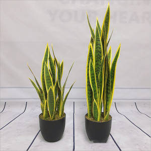 ต้นบอนไซเทียมทำจากพลาสติก/ต้นซัสเวีย/อากาเว70ซม./90ซม. สีเขียว-เหลือง - Product Image 3