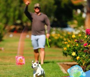 Popular Pet Dog Voice <strong>Toy</strong> Throwing Jumping Interactive Training Built-in Tennis Ball Self Entertaining Relaxing Dog <strong>Toys</strong> - Product Image 5