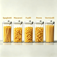 Boîte de rangement pour pâtes en plastique sans BPA de 25 cm avec couvercle hermétique, boîte de conservation sous vide pour nouilles, spaghetti, produits secs
