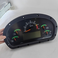 Monitor de Control RUIPEI 311-0038 para Excavadora - Nuevo Original/OEM con 6 Meses de Garantía