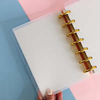 Separadores Personalizados A5 Transparentes Esmerilados con Pestañas, Páginas de Índice de Plástico Transparente para Planificador