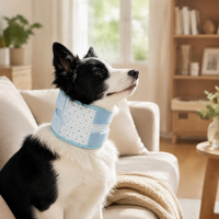 Collier de récupération respirant pour chien, collier cervical souple après chirurgie, réglable, anti-léchage, collier E-Collar pour animaux de compagnie, soutien post-opératoire