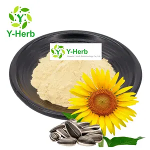 Factory Price 97min Bulk Sunflower/Sun Flower Seed Lecithin Powder 98% Sun Flower/Sunflower Lecithin Powder