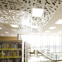 Tuiles de plafond en aluminium perforé personnalisées Lumière à LED Éclairage de fantaisie pour toiture de bureau décoratif