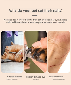 Coupe-<span class=keywords><strong>ongles</strong></span> pour animaux de compagnie de qualité supérieure, écologiques, ergonomiques, avec poignée confortable, lames en acier inoxydable durables, outils de toilettage - Product Image 6