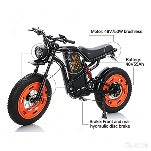 Vélo Électrique Haute Vitesse <span class=keywords><strong>WOSU</strong></span> X9 Chine, Vélo Électrique à Batterie Lithium, Éclairage LED, Pneus 200-4.0, Moteur Brushless, Freinage Hydraulique, Électronique, 750W, Meilleures Ventes - Product Image 1