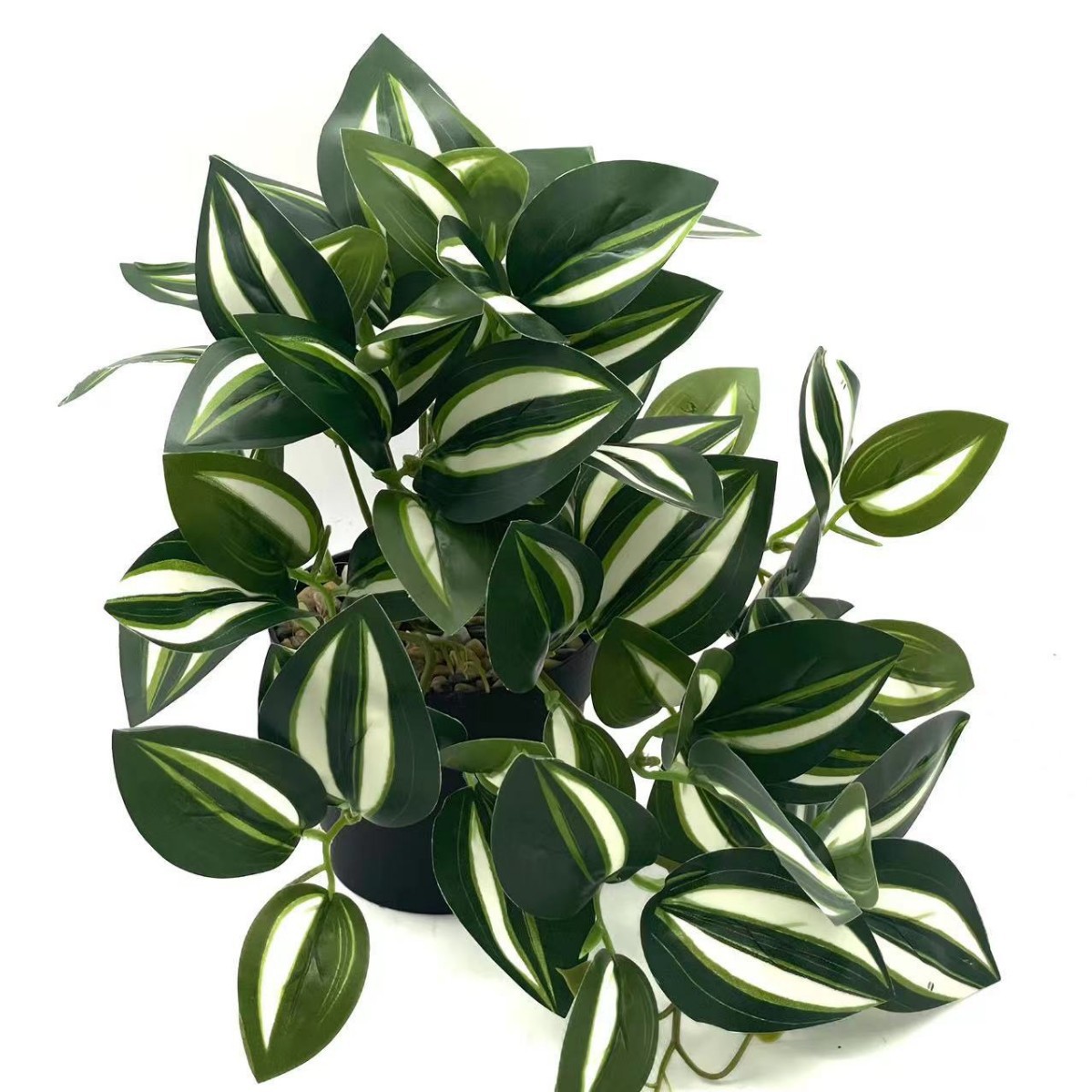 Green mini  eyebrow leaves-white green