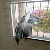 Accessoires pour cage à oiseaux : Piège à pigeons amovible, porte-trouillard en fil métallique, barre en métal, cage à pigeons, porte-trouillard unidirectionnelle, pièces de rechange