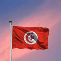 Drapeau tunisien personnalisé 3x5 pieds en polyester 68D pour tous les pays – Vente en gros