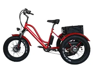 Grosir murah bertenaga kuat becak listrik kargo gemuk sepeda 3 roda sepeda listrik 20/24 inci sepeda roda tiga listrik dewasa
