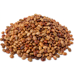 Haricots secs entiers bruns non transformés naturels FARM HORIZON EXPORT Gujarat - Product Image 1
