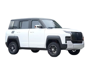 Nouveau véhicule électrique compact 2025 pour adultes, à basse vitesse, à vendre, haute performance - Product Image 5