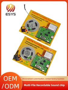 Nhà Máy Cổ Phiếu Sẵn Sàng USB Tải Về Mp3 4MB Hoặc 8MB Bộ Nhớ Kích Thước PIR Cảm Biến Chuyển Động Loa Với Âm Thanh Tùy Chỉnh - Product Image 2