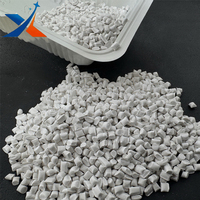 Talc 600-30 PP Masterbatch Granulaire Blanc pour Film Alimentaire et Dessin, Qualité Moulage par Soufflage pour Film Soufflé et Moulage par Injection
