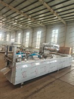 Elektrische thermoformende automatische vacuümverpakkingsmachine met hoge productiviteit voor vlees-, fruit- en visverwerkingsbedrijven