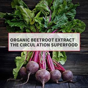 Produtos de Dropshipping Suplemento Nutricional Vegetariano Cápsulas de Beterraba Extrato Herbal Raiz de Beterraba Aloe Vera Vitamina Ativa - Product Image 5