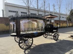 Carroza Fúnebre Eléctrica de Lujo HYS de Primera Categoría, Carroza Fúnebre con Caballos de Henan en Venta - Product Image 6