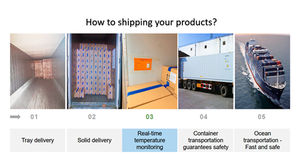 BRC <span class=keywords><strong>Boletus</strong></span> Edulis Certified Classic IQF Frozen OEM Paquete de embalaje de estilo a granel Peso de cocina de onda Estante CIF <span class=keywords><strong>Boletus</strong></span> - Product Image 6