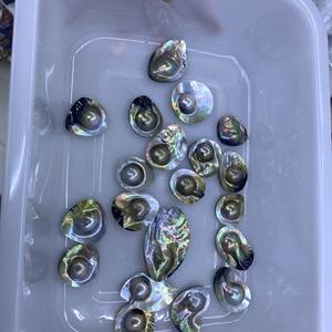 Perles nues de qualité supérieure, perles de coquille de cheval de mer, 18-200 mm, forme œuf poché, pour la création de bijoux - Product Image 1