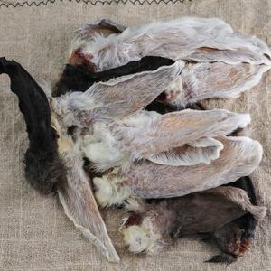 Golosinas Secas para Perros al por Mayor de Fábrica OEM ODM, Sin Aditivos, Orejas de Conejo Secas al Aire, Golosinas para Perros, Limpieza de Dientes, Recompensas de Entrenamiento para Perros - Product Image 5