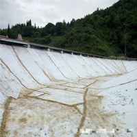 Géotextile résistant aux UV pour la protection des canaux et des systèmes de conservation de l'eau