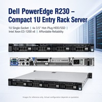 Serveur Rack d'occasion Dell PowerEdge R230 à prix abordable – Trouvez des modèles similaires