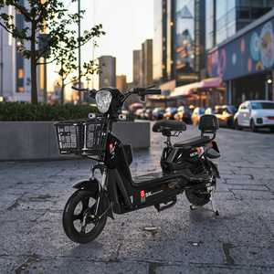 <span class=keywords><strong>จักรยาน</strong></span>ไฟฟ้าที่คุ้มค่าที่สุดในโลก พร้อมมอเตอร์ไร้แปรงถ่าน 350W 500W - Product Image 2