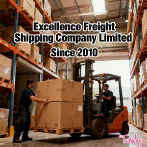 Морские перевозки: стоимость, тарифы агента по доставке из Китая в Эквадор, Гондурас, Белиз, Криби — полная загрузка контейнера (20/40GP) - Product Image 4